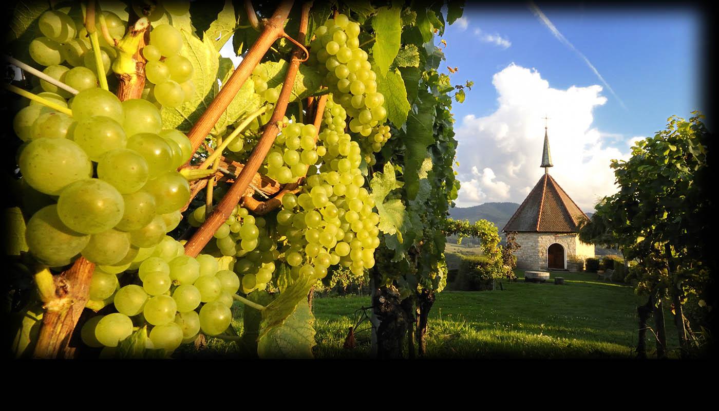 Herbst Ölbergkapelle